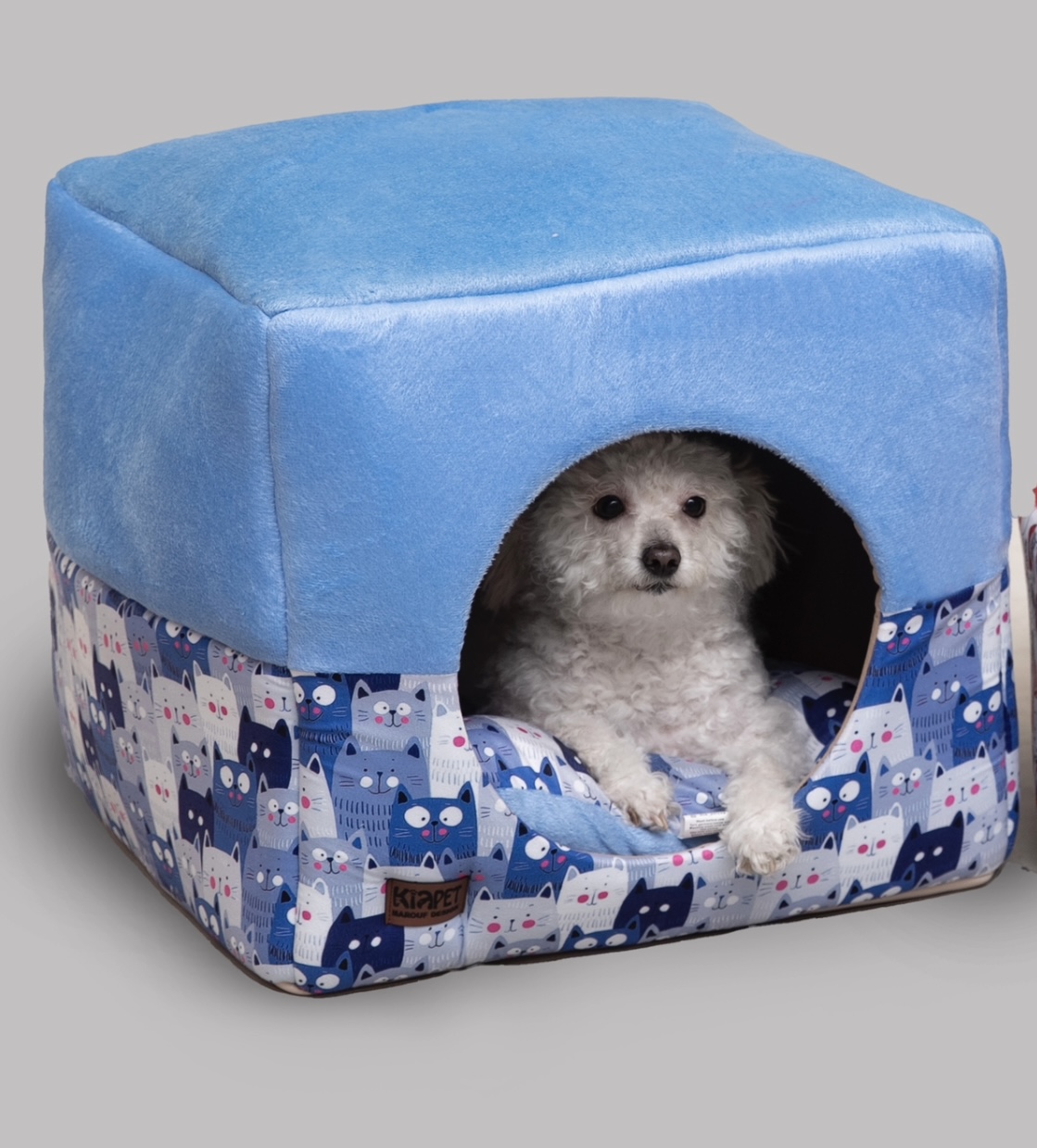 جاخواب سه کاره سگ