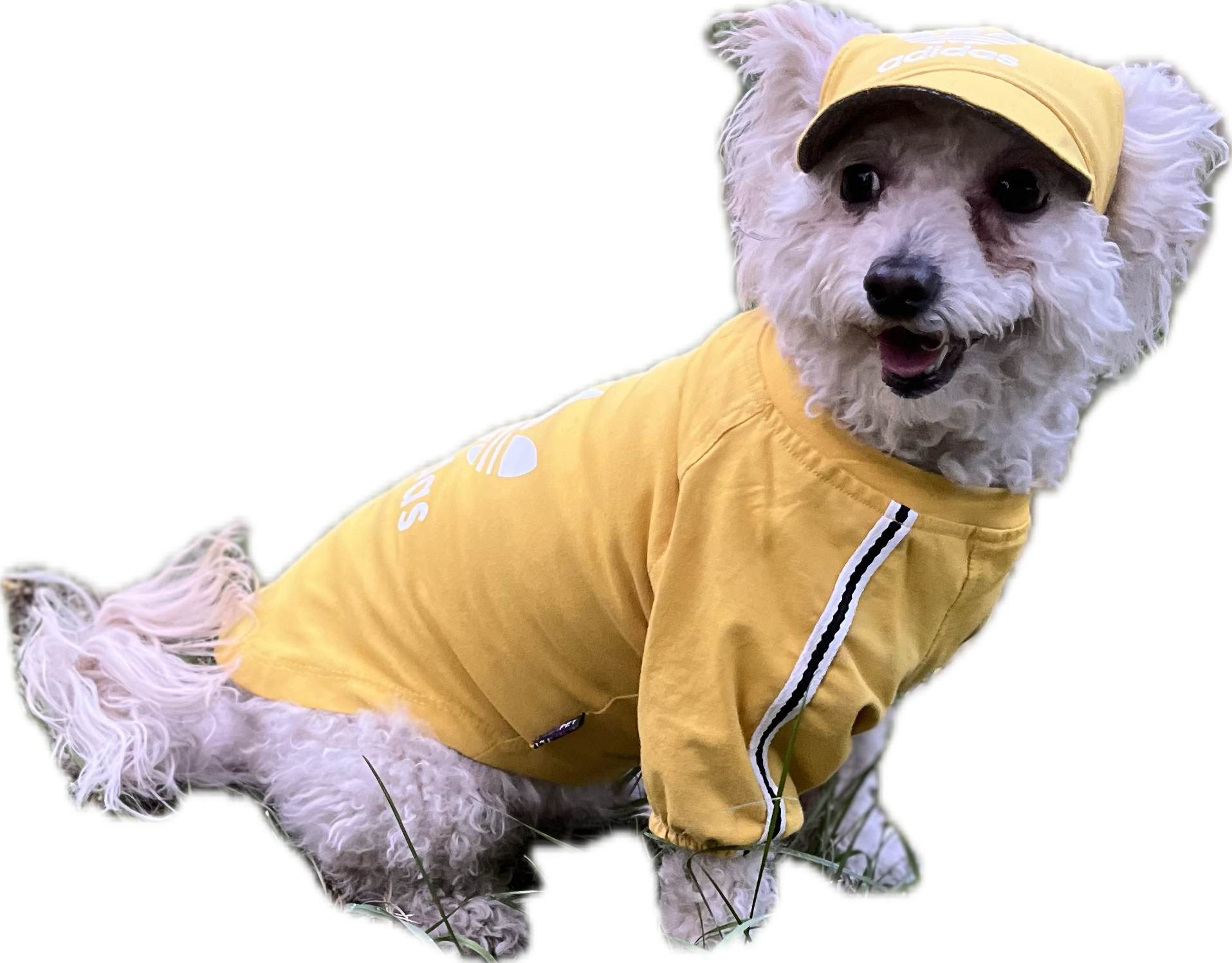 هودی ورزشی همراه کلاه